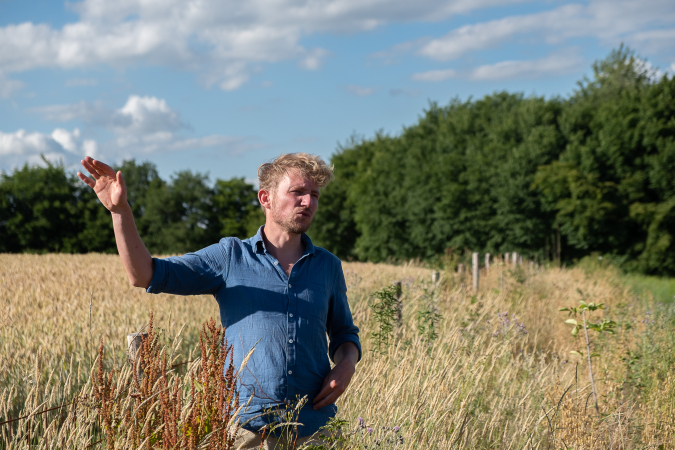 Potager – Maraichage BIO & Production de Graines – Ecole Industrielle de  Thuin et Montigny-le-Tilleul