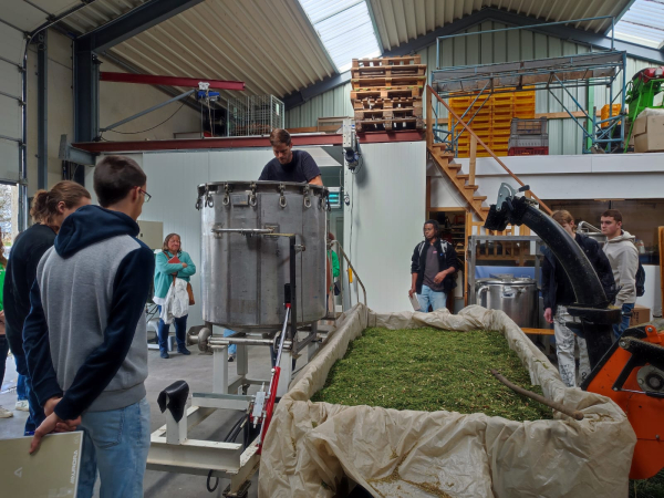 Production