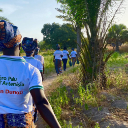 cooperation-internationale