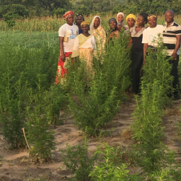 cooperation-internationale